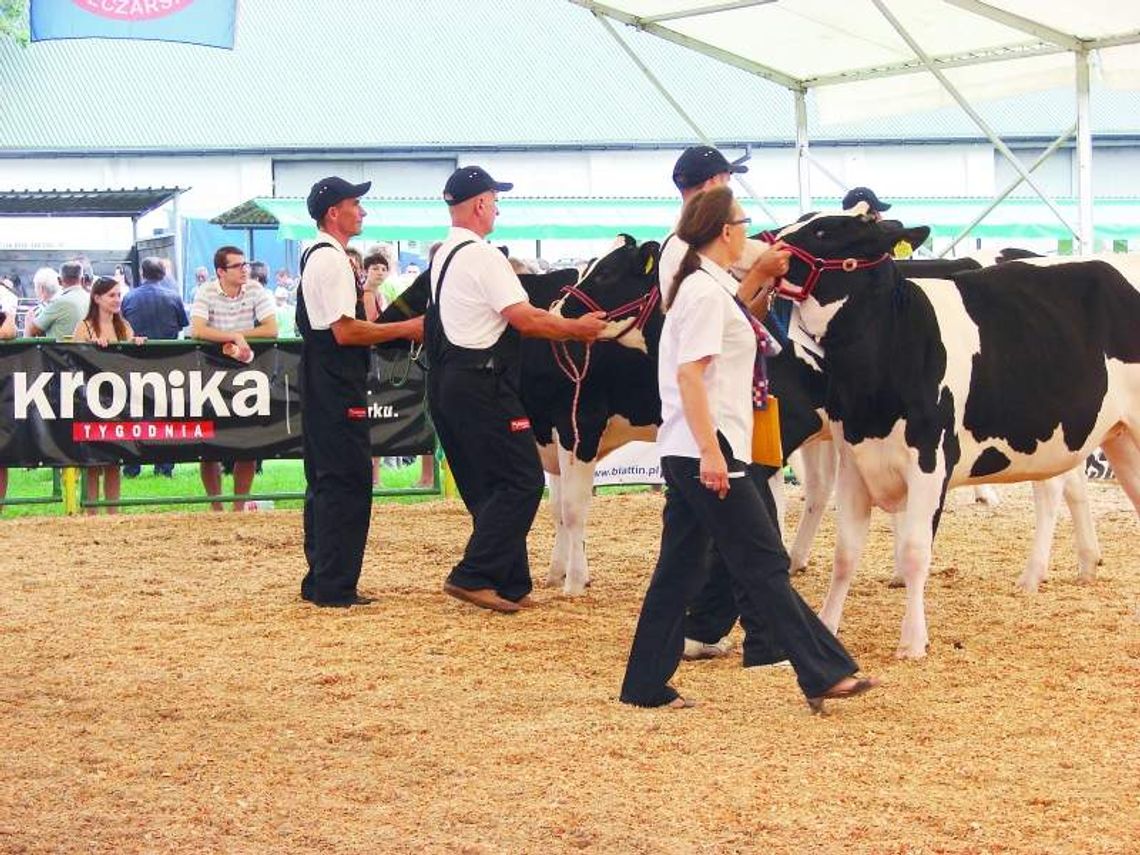 Wystawa Zwierząt Hodowlanych w Sitnie (program)