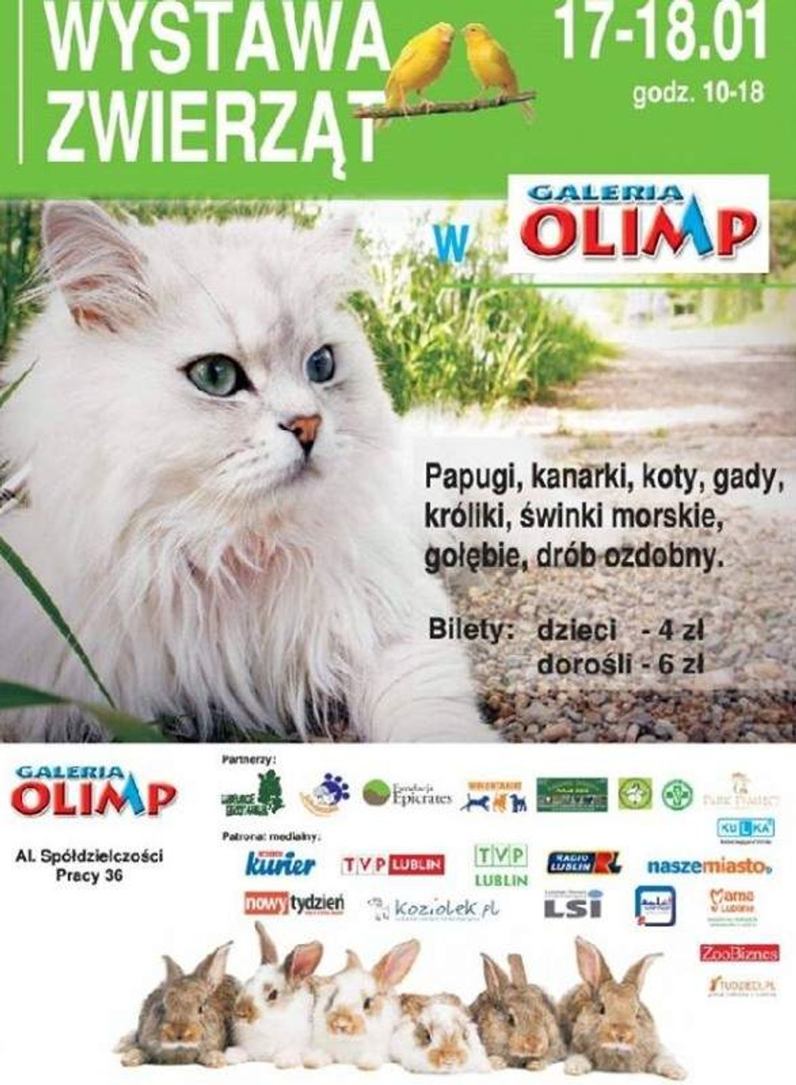 Wystawa zwierząt w Galerii Olimp Wystawa zwierząt w Galerii Olimp