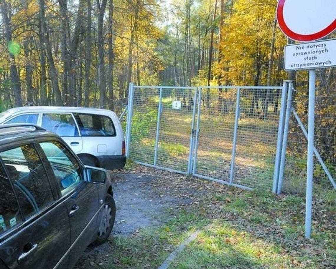 Wysyp grzybów. Grzybiarze wchodzą nawet na poligony