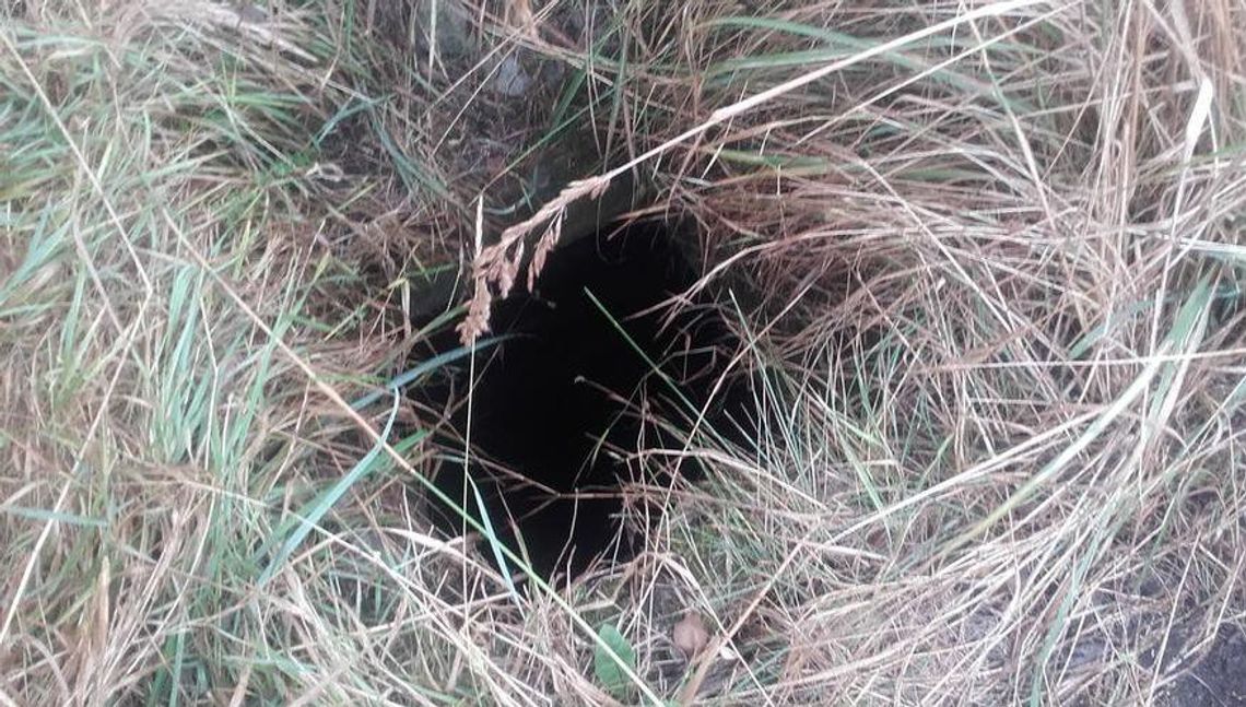 Wyszedł na spacer i zaginął. Poszukiwania zaprowadziły ratowników do tego zbiornika