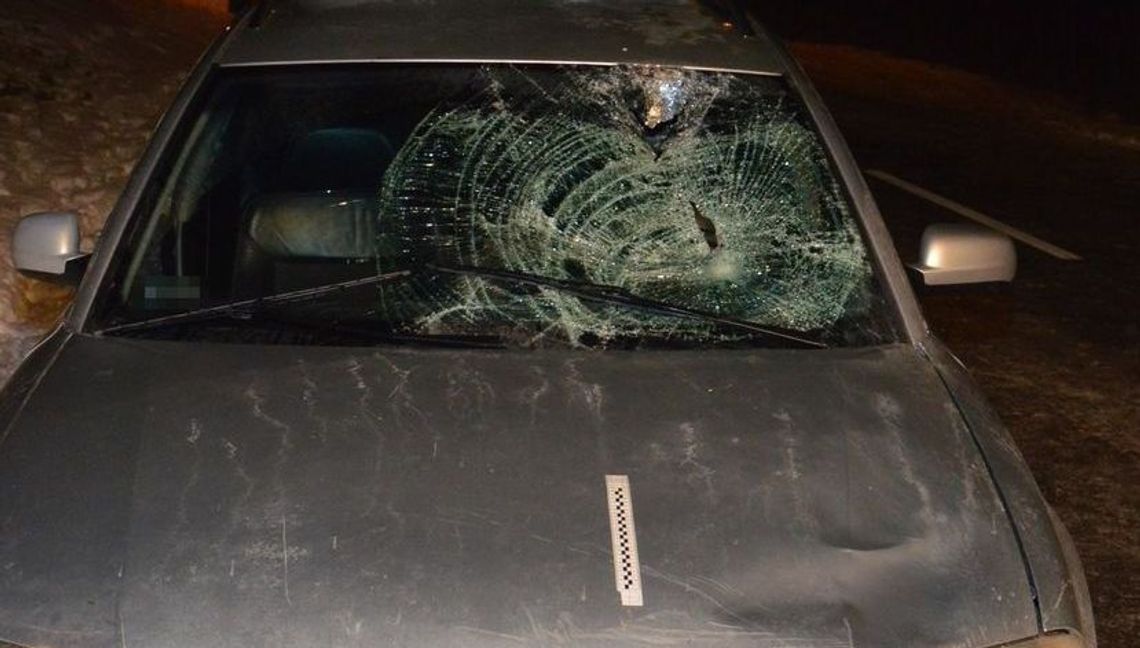 Wyszedł zza busa wprost na drogę, kierująca nie miała szans zahamować