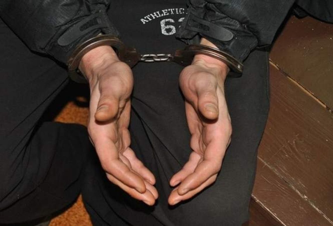 Wyszukiwali samochody w Internecie, a później je kradli