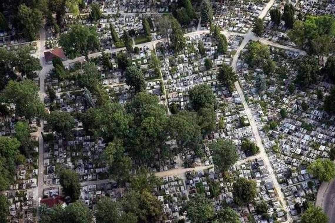 Wyszukiwarka grobów. Jak znaleźć grób na cmentarzach w Lublinie i woj. lubelskim? 