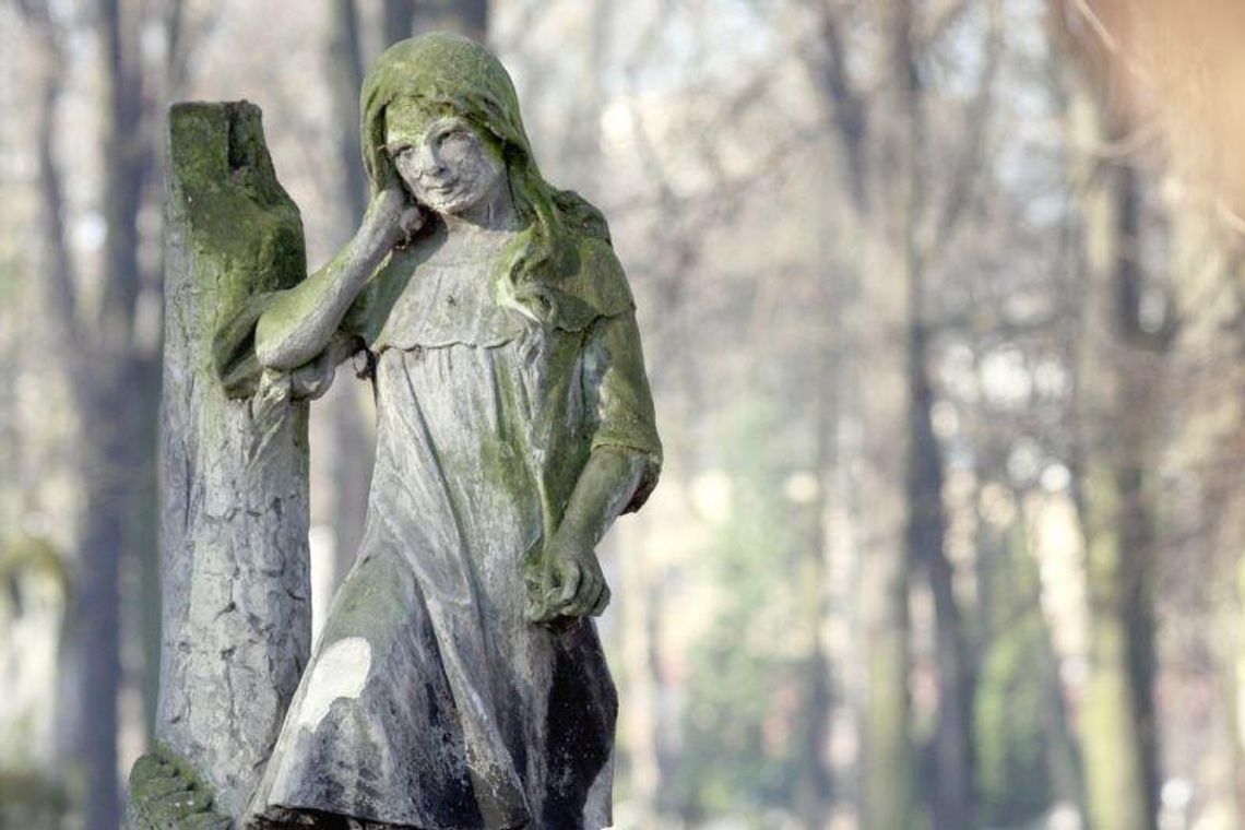 Wyszukiwarka grobów Lublin: Majdanek, Lipowa. Wyszukaj grób bliskiego