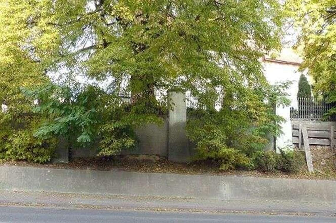 Wytną drzewa przy kościele, posadzą nowe Wytną drzewa przy kościele, posadzą nowe