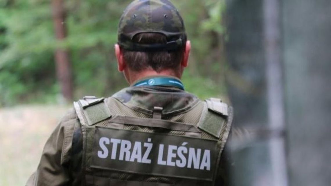 Wzmożone kontrole w rezerwatach. Na celowniku szabrownicy i kłusownicy Wzmożone kontrole w rezerwatach. Na celowniku szabrownicy i kłusownicy