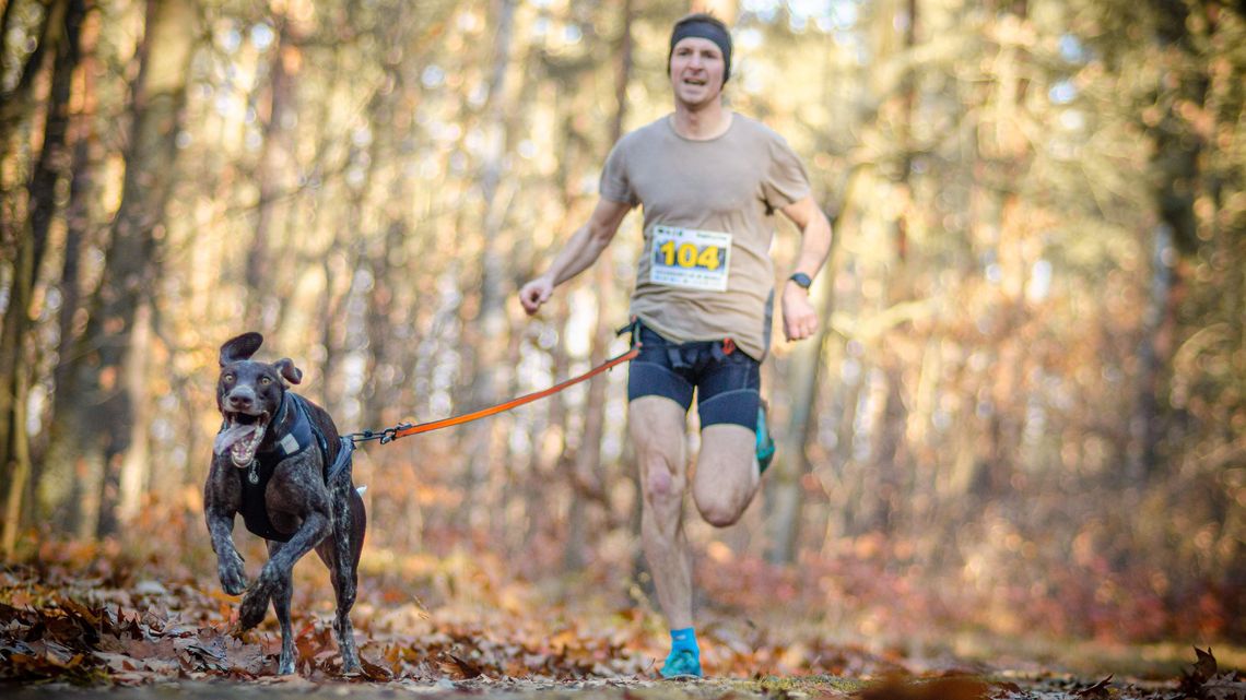 Wzorowa współpraca człowieka z psem. Mieszkaniec Lublina mistrzem Polski w canicross