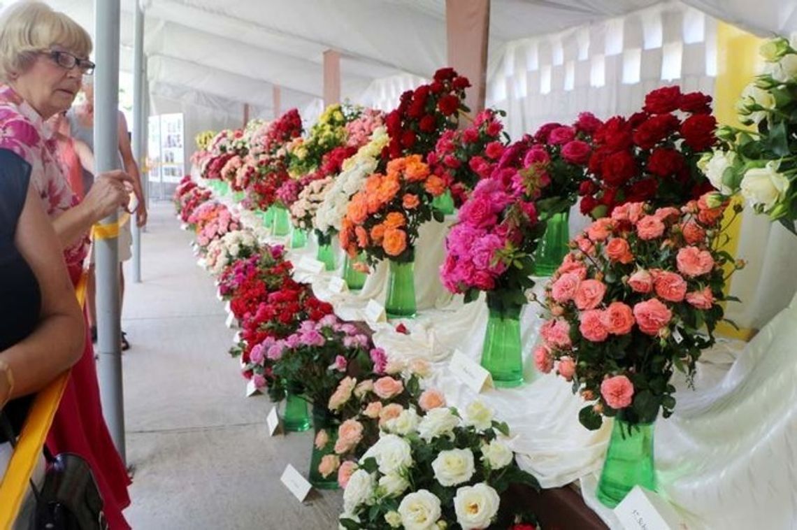 XVIII Święto Róż w Końskowoli