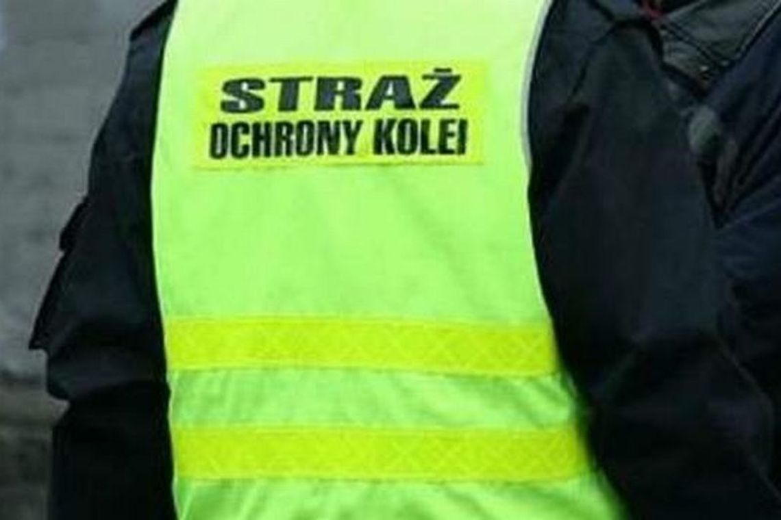 Z farbą na pociąg. Grafficiarz w rękach sokistów Z farbą na pociąg. Grafficiarz w rękach sokistów
