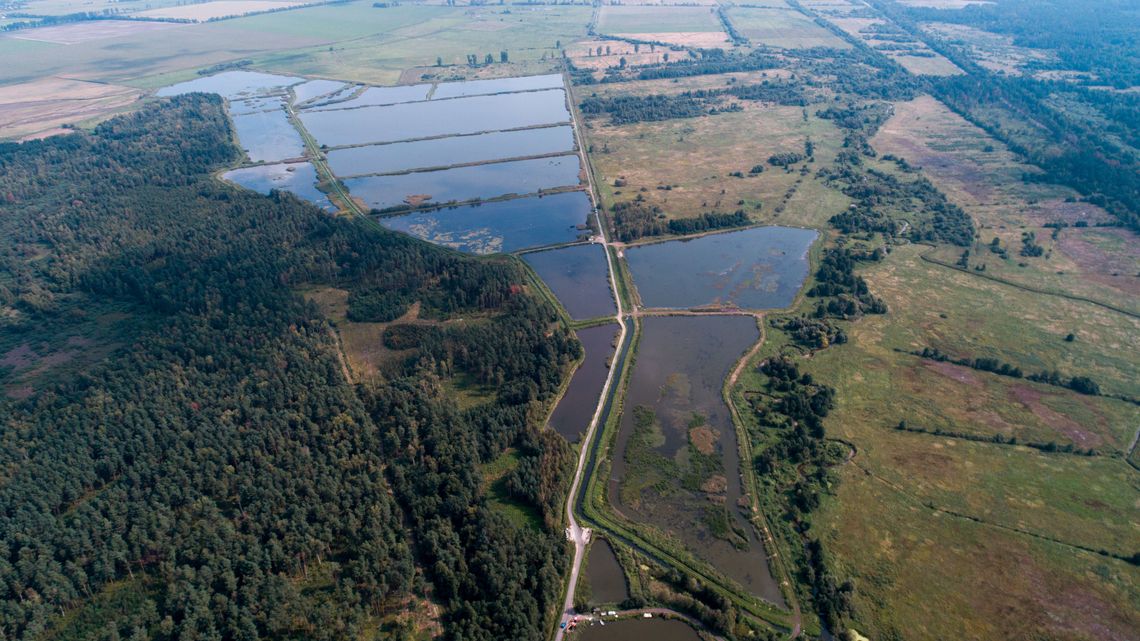 Z karpiami od trzech pokoleń. Właściciele gospodarstwa z woj. lubelskiego mistrzami AgroLigi