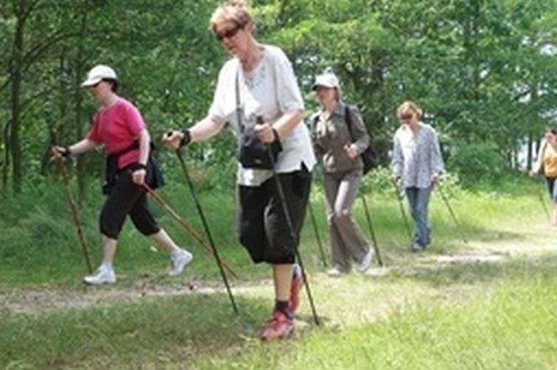Z kijkami przejdą przez las. "Szansa na przyjemne spędzenie czasu" 