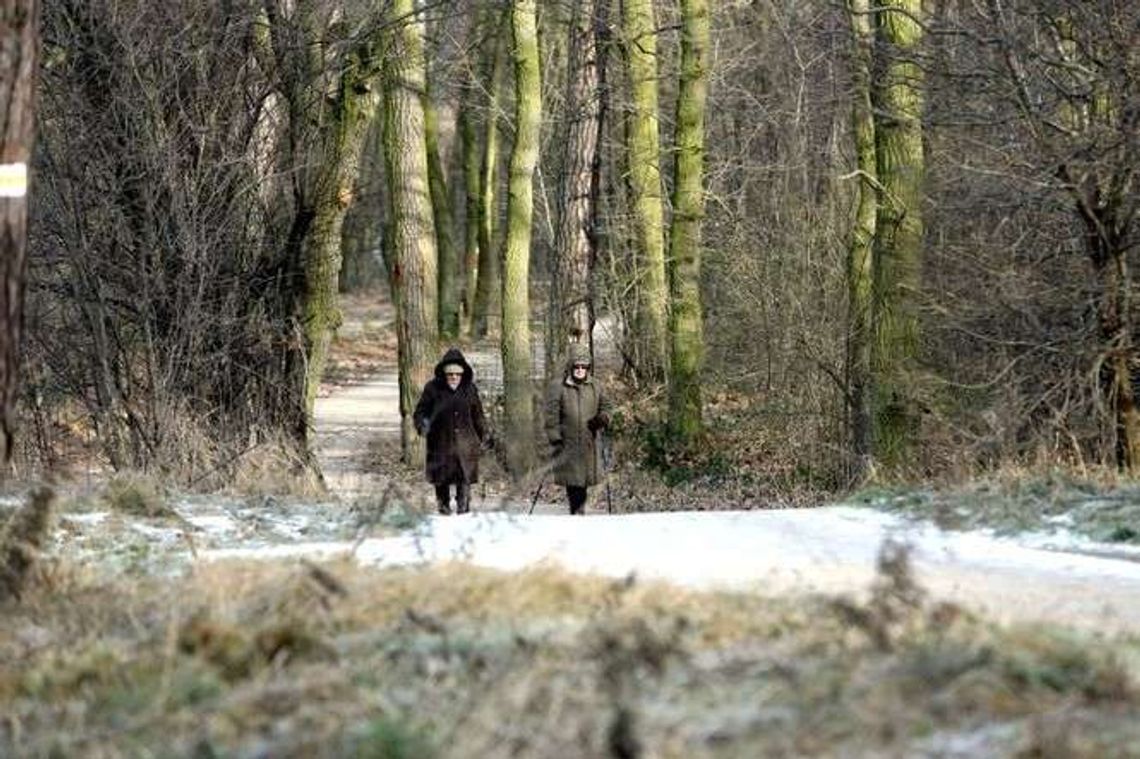 Z kijkami przez powiat puławski. Gdzie można uprawiać nordic walking?