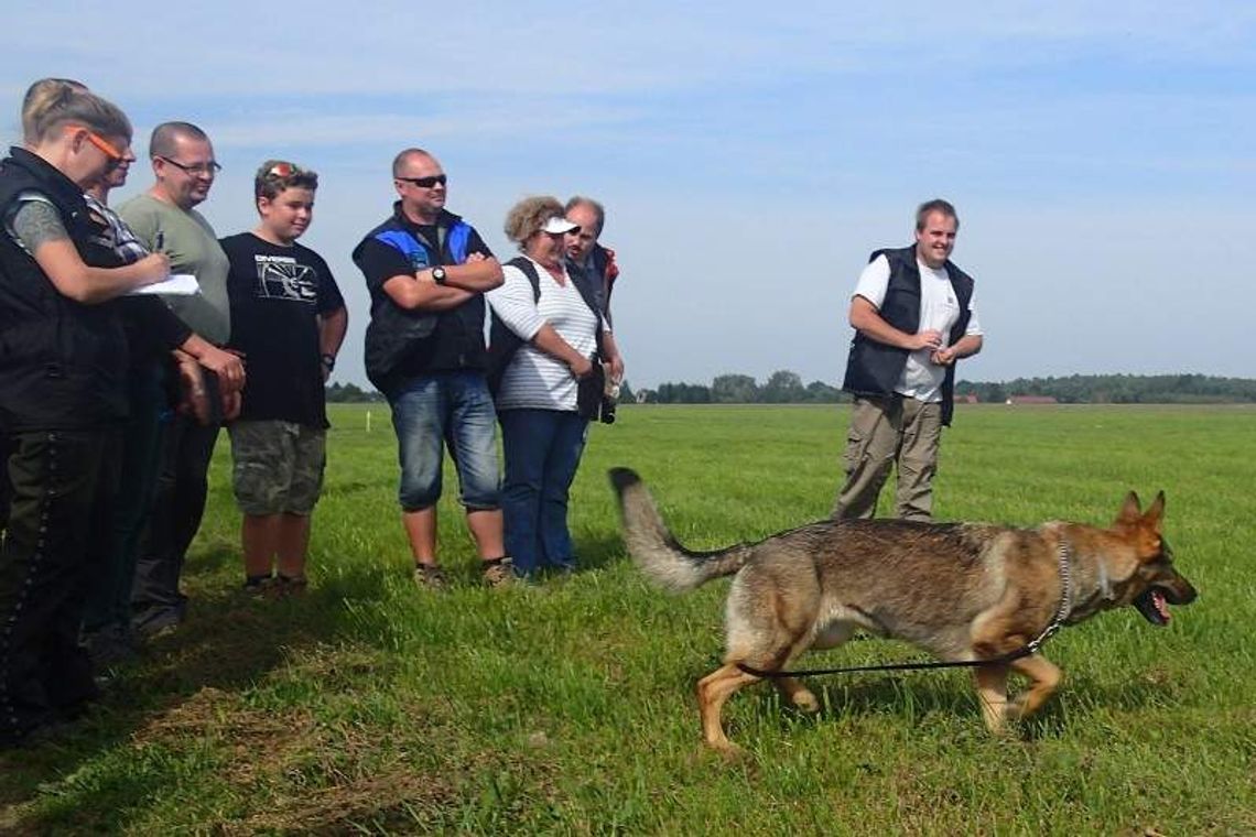 Z nosem przy ziemi. Mistrzostwa owczarków w tropieniu