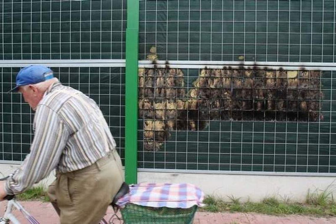 Z nudów podpalał ekrany akustyczne