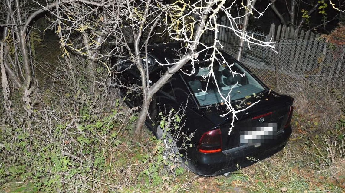 Z promilami zamiast prawa jazdy.  Szaloną jazdę zakończył na płocie 