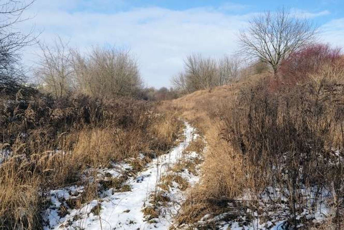 Za i przeciw blokom na górkach czechowskich. Pytanie o odkupienie terenu przez miasto