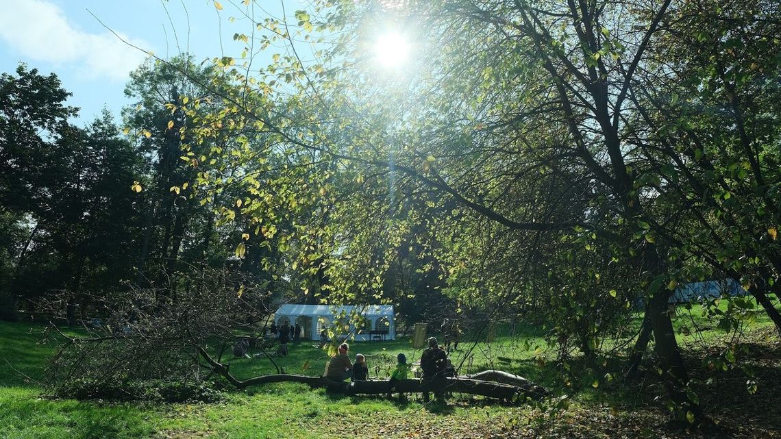 Za kilka dni pogoda może bardzo zaskoczyć. Prognoza na weekend Za kilka dni pogoda może bardzo zaskoczyć. Prognoza na weekend