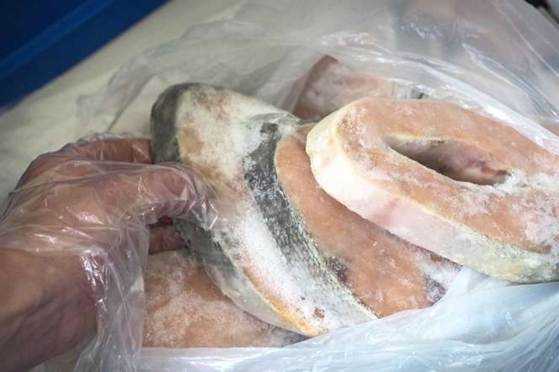 Za mało ryby w rybie. Uważaj na mrożonki w sklepie