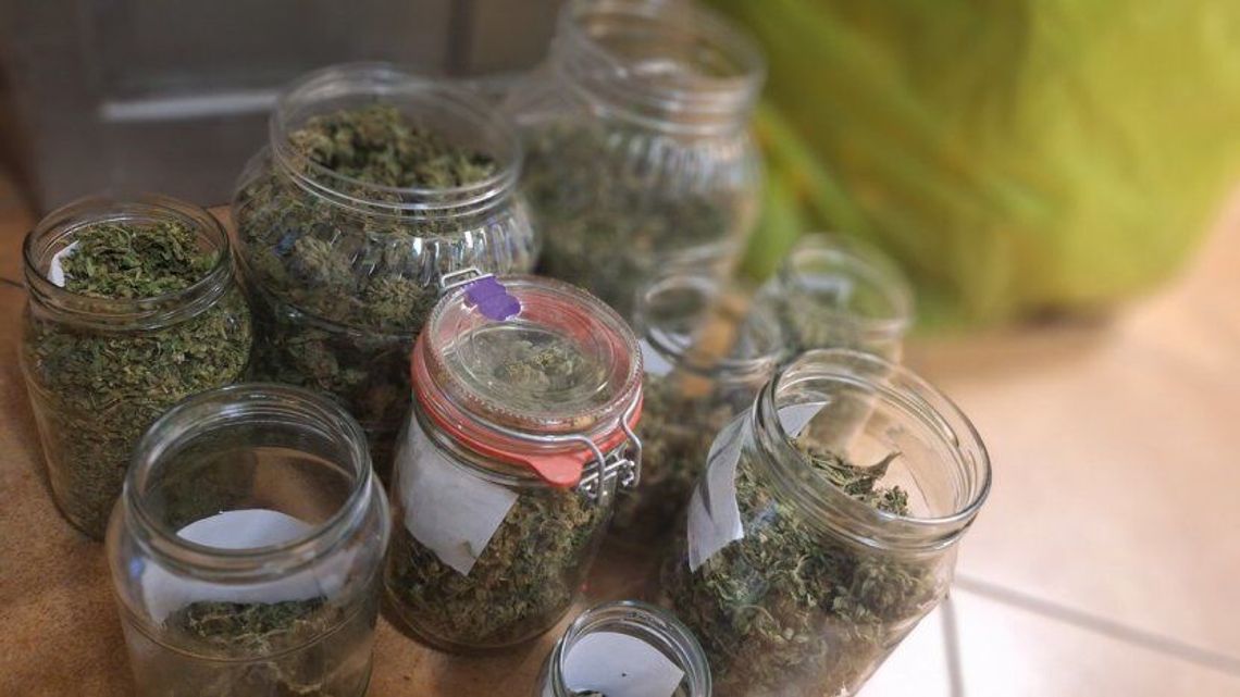 Za ten susz 42-latek może trafić za kratki. Nawet na 20 lat Za ten susz 42-latek może trafić za kratki. Nawet na 20 lat