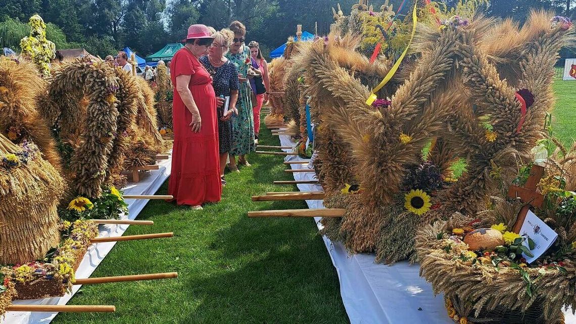 Za wieńce i zasługi. Komu nagroda? Dla kogo odznaczenie? (lista)