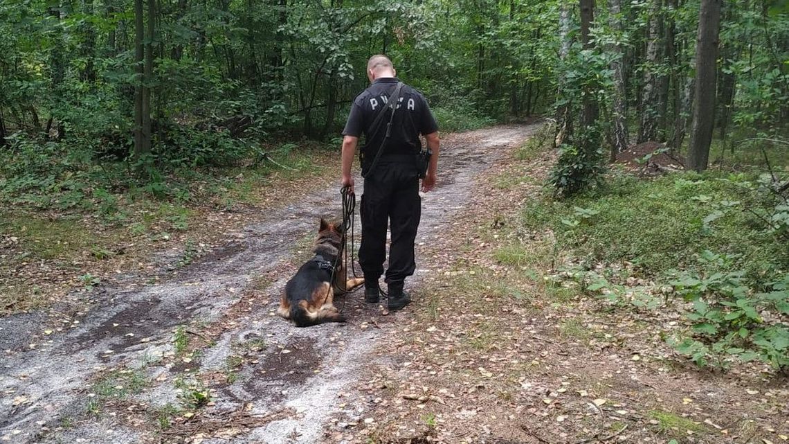 Zaatakował policjantów widłami. Odnaleźli go w innym województwie