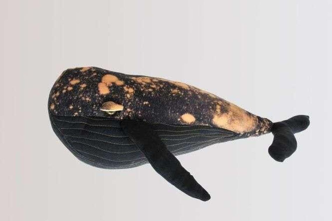 Zabawki też mogą być sztuką. Zobacz prace uczniów Liceum Plastycznego w Nałęczowie