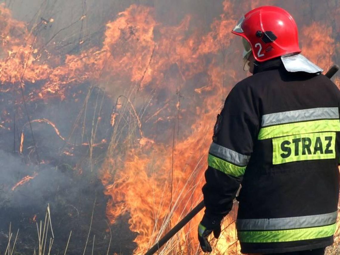 Zabiele: W pożarze spłonęło prawie 21 hektarów lasu