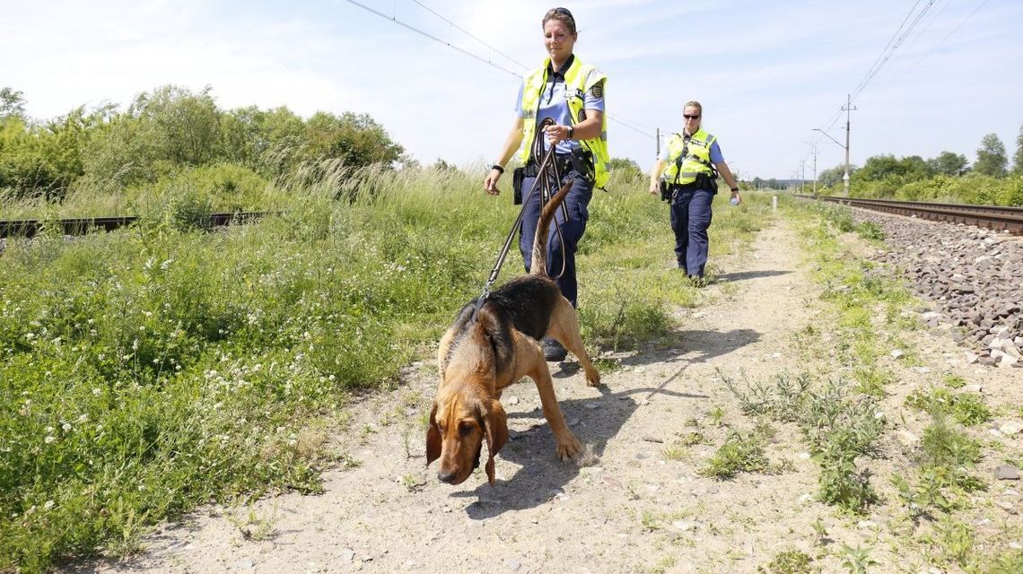Zabójstwo w Trawnikach. Psy z Saksonii szukały zabójcy 38-latki [zdjęcia]