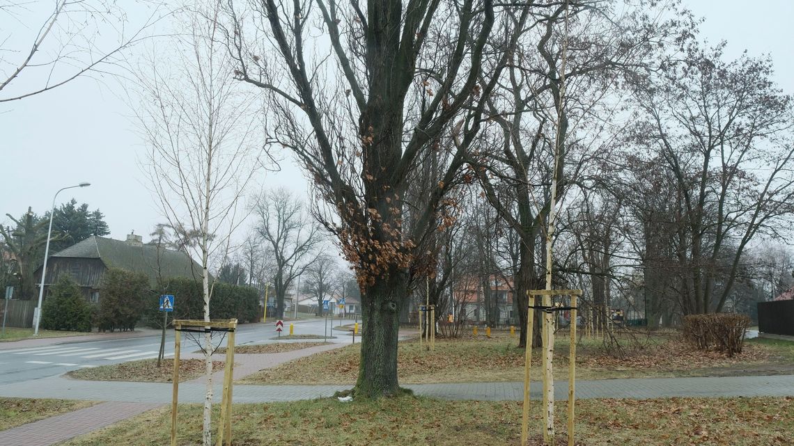 Zabytkowy park przejdzie gruntowną "remontadę"