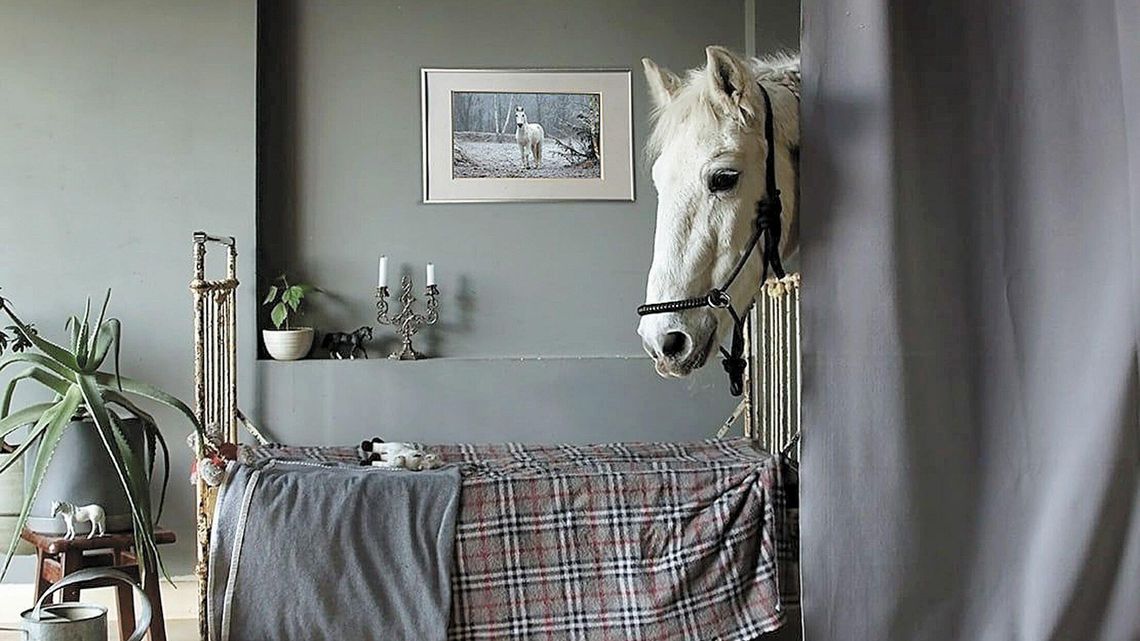 Zaczęło się od ubrań dla lalek, a dziś koń zagląda do salonu Zaczęło się od ubrań dla lalek, a dziś koń zagląda do salonu