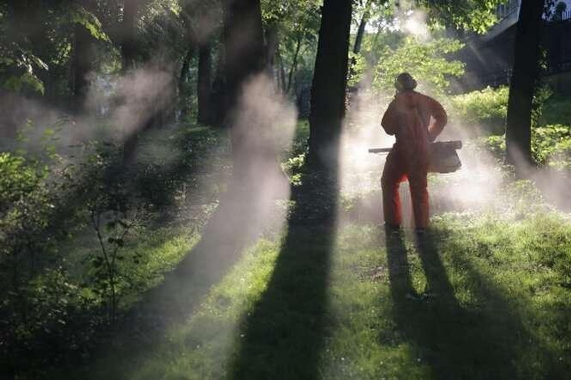 Zaczęło się wielkie odkomarzanie w Lublinie. Na początek Ogród Saski