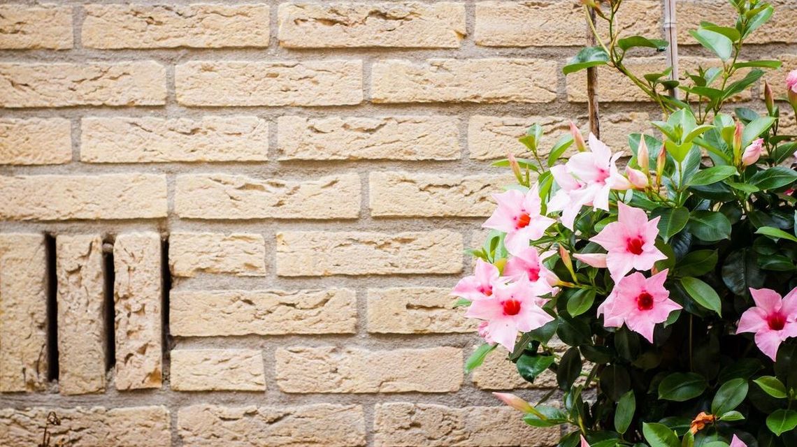 Zacznij od ścian. Jak materiały naturalne przekształcają współczesne elewacje? Zacznij od ścian. Jak materiały naturalne przekształcają współczesne elewacje?