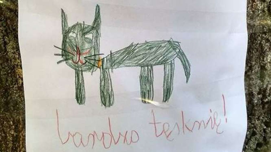 "Zaginął kot. Bardzo tęsknię!". Ogłoszenie dziecka chwyta za serce