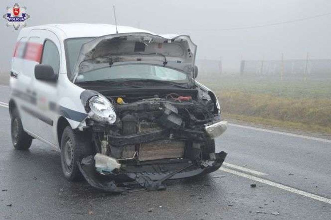 Zahamowała, gdy na jezdnię wybiegł łoś. Kierowca renault nie zdążył