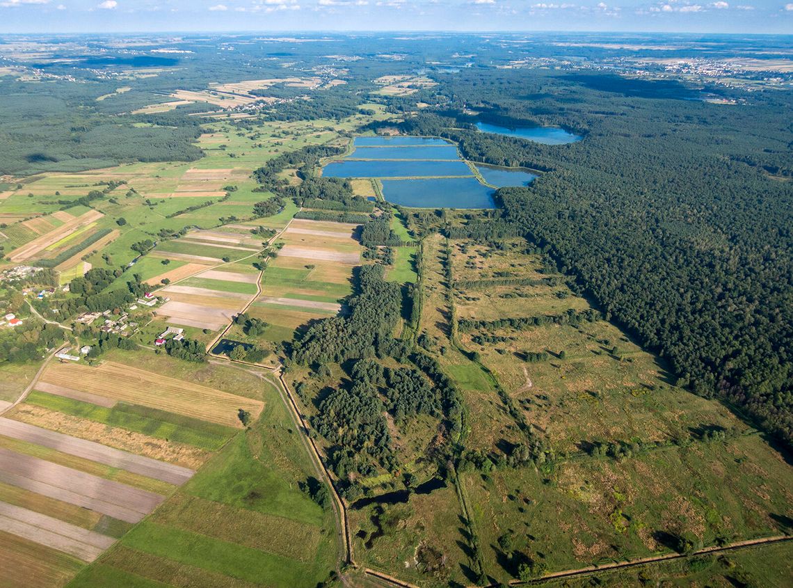 Zainwestują w dawne grodzisko. Powstanie wieża widokowa i ścieżka edukacyjna
