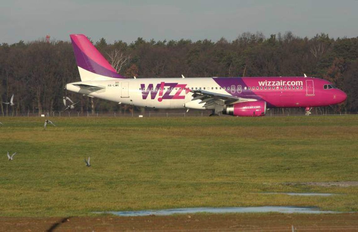 Zające lokatorami Portu Lotniczego Lublin Zające lokatorami Portu Lotniczego Lublin