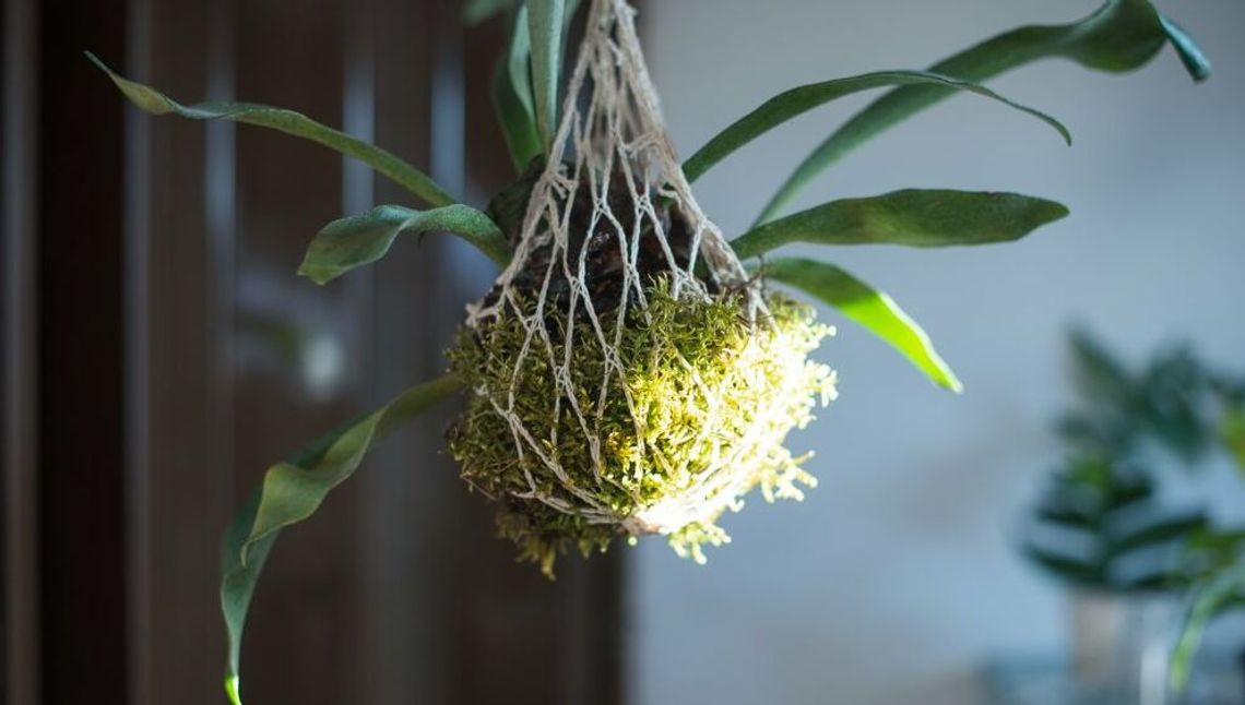 Zajęcia dla dzieci w Warsztatach Kultury