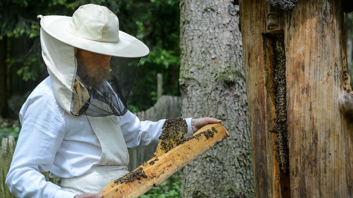 Zajęcia z cyklu "Sztuka wrażliwości" we wrześniu Zajęcia z cyklu "Sztuka wrażliwości" we wrześniu