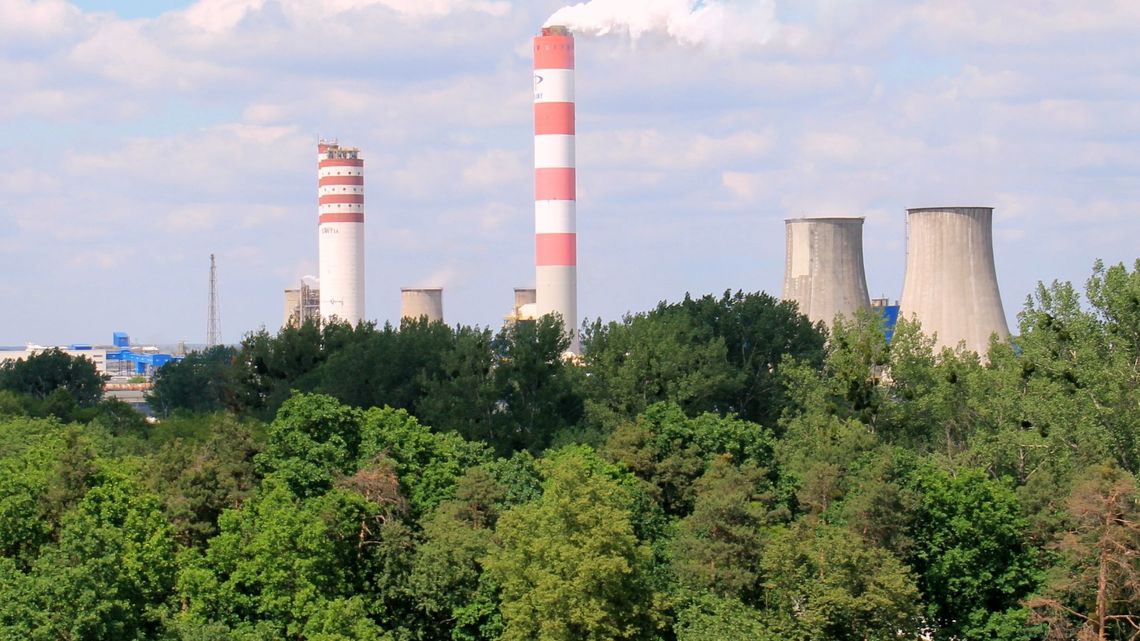 Zakłady Azotowe Puławy: Dywidenda najniższa od dekady