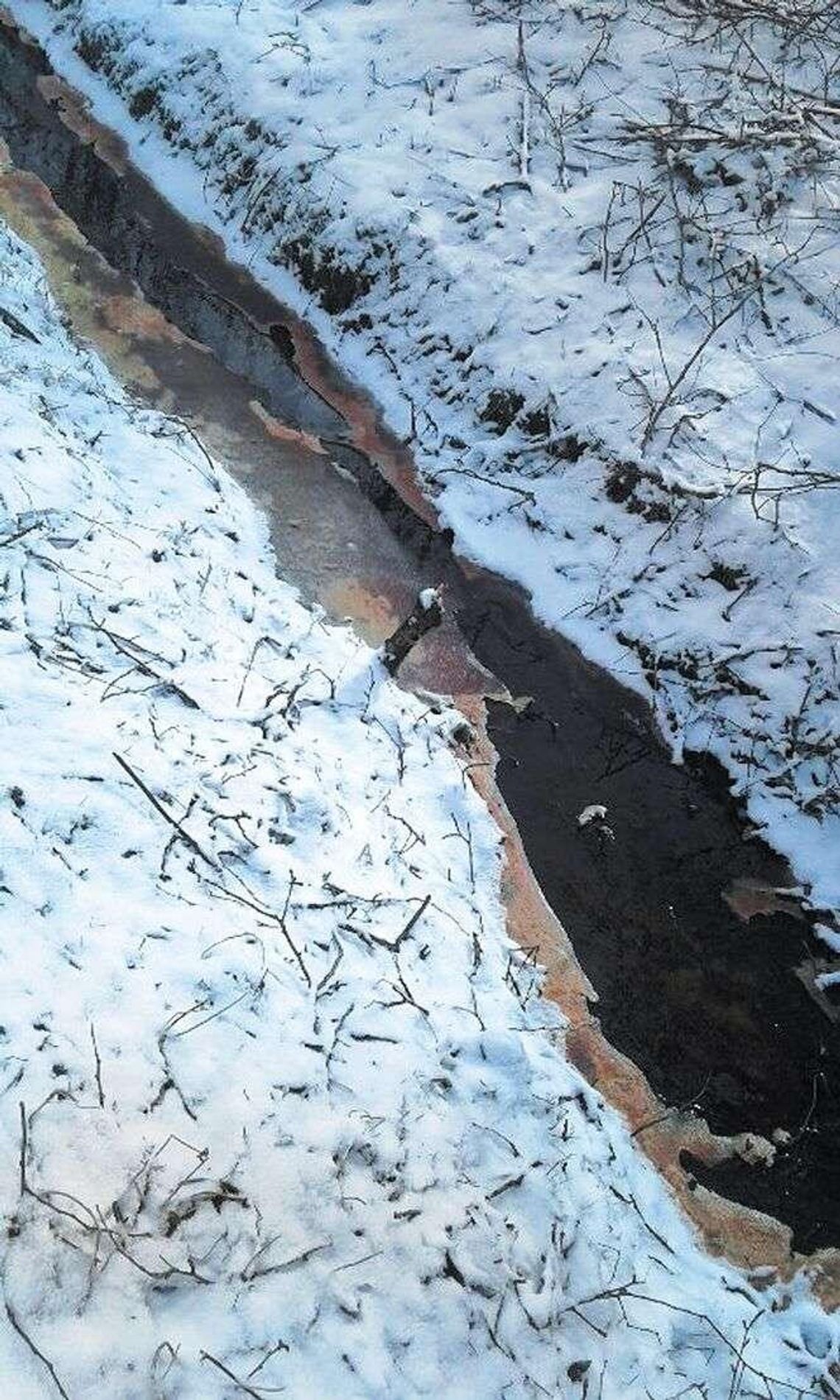 Zakłady mięsne znowu wypuściły krew i ścieki