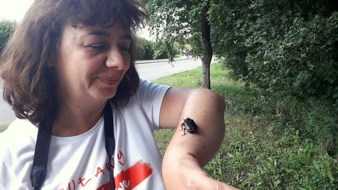 Zakochana w owadach. "Gdy do nich przychodzę, wychodzą sprawdzić, kto przyszedł"
