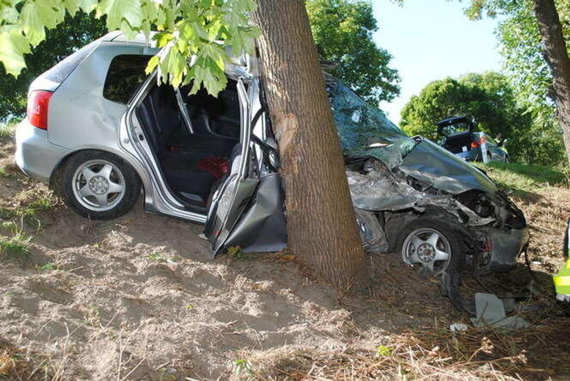 Zakręcie: Honda uderzyła w drzewo. Zginęła Ukrainka