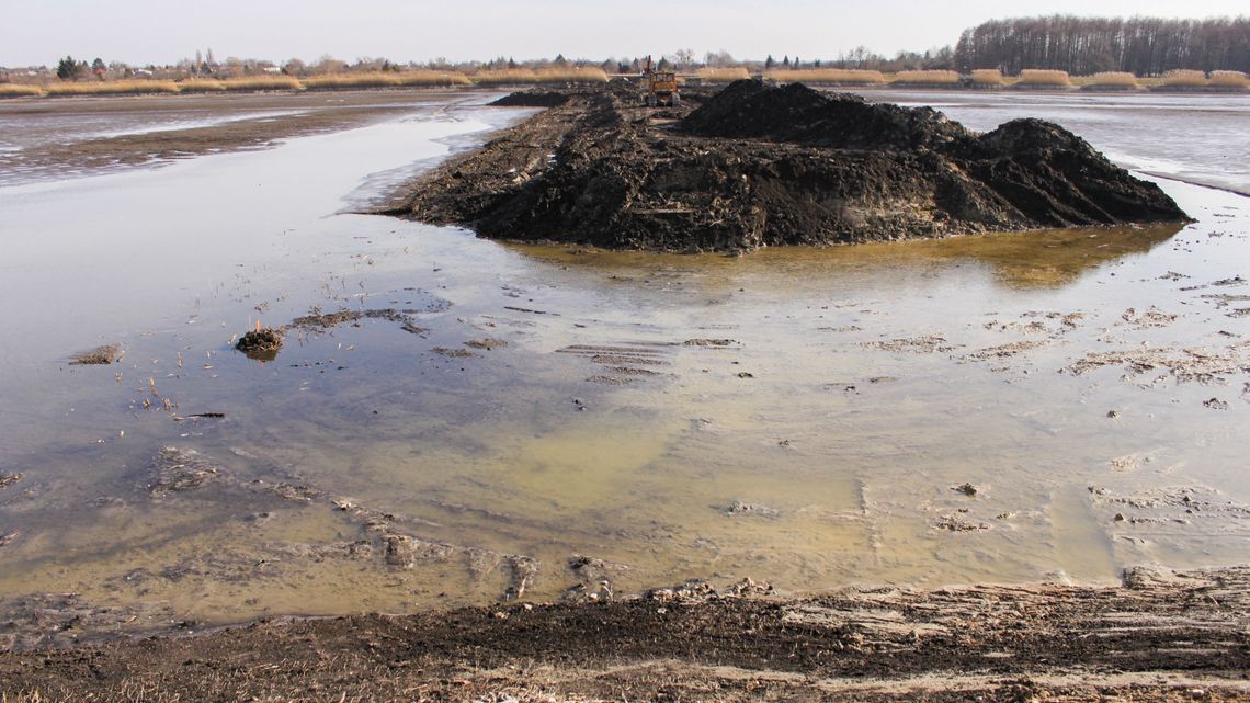 Zalew Miejski w Zamościu. Jest wyspa i plaża Zalew Miejski w Zamościu. Jest wyspa i plaża