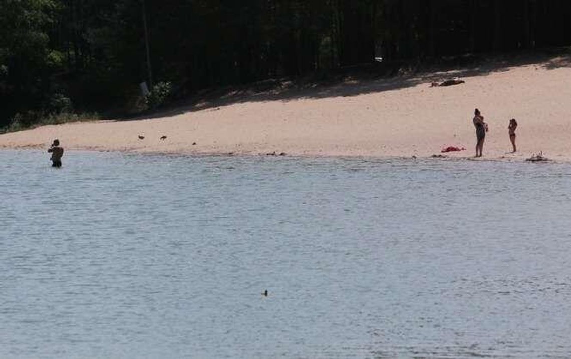 Zalew w Janowie Lubelskim. Badania nie dały odpowiedzi, co powoduje alergię Zalew w Janowie Lubelskim. Badania nie dały odpowiedzi, co powoduje alergię