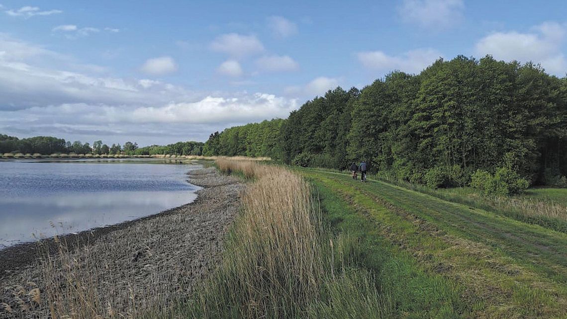 Zalew w Zamościu: Powstanie ścieżka pieszo-rowerowa i pomost obserwacyjny 