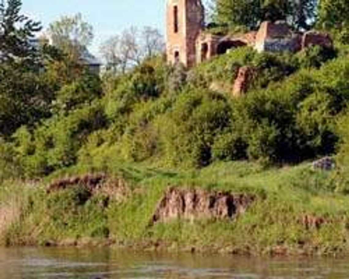 Zamek w Zawieprzycach (nr 41) - 12 głosów