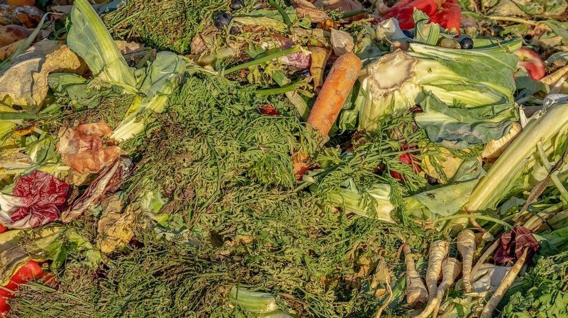 "Zamgławiacz odorowy" na nieznośne zapachy z kompostowni w Rykach