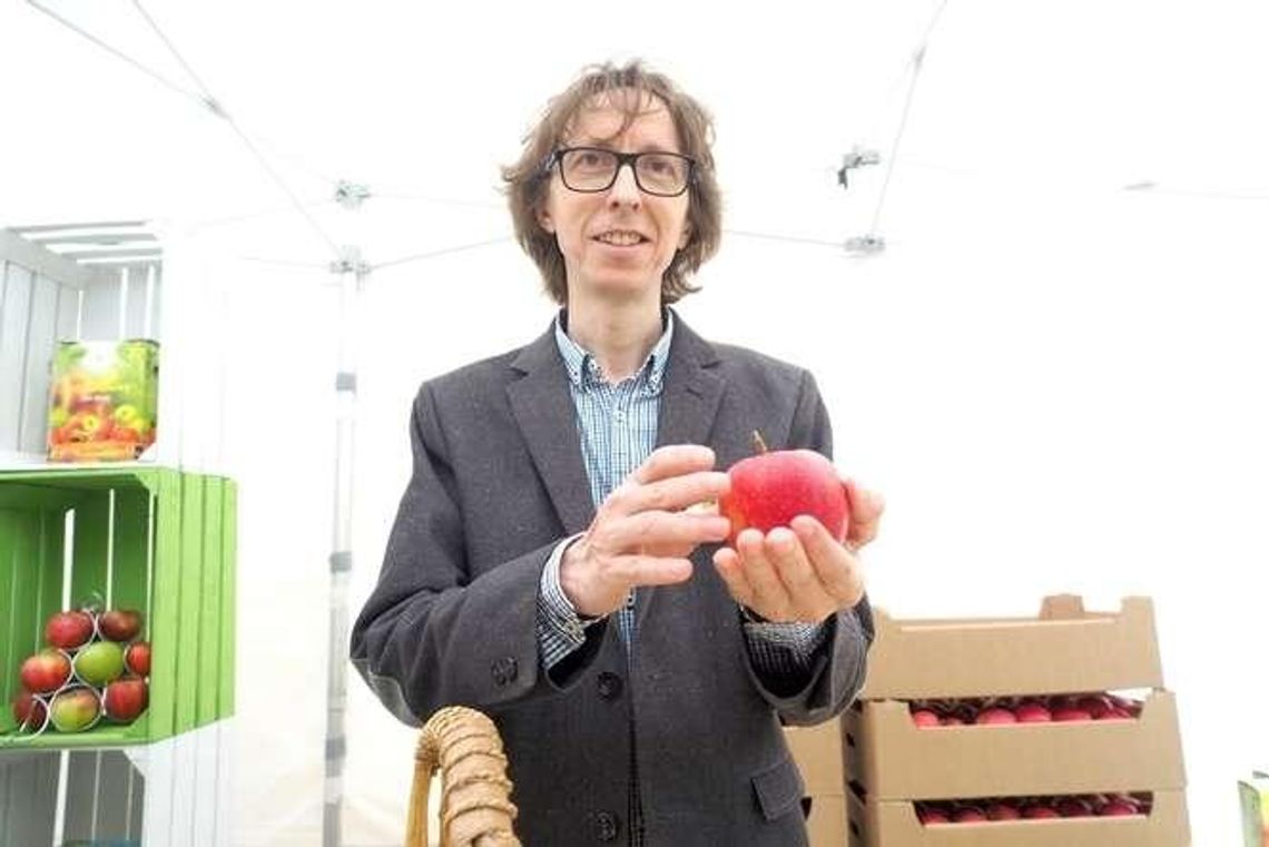 Zamknąć jabłko w butelce. Cydr na dobre zagościł na stołach