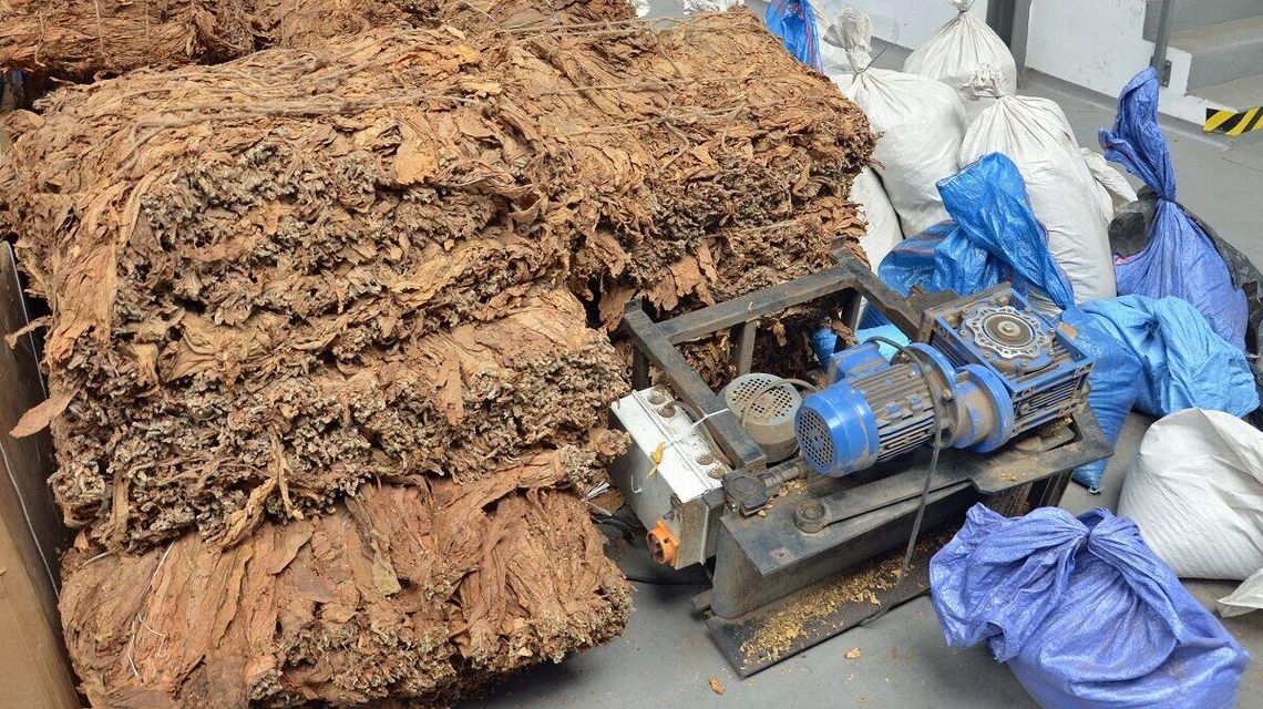 Zamknęli dwie krajalnie tytoniu. Jedna w Lubelskiem, druga na Mazowszu