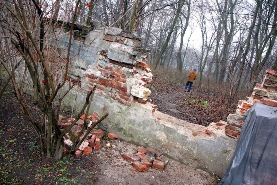 Zamknęli wejścia do parku. To ludzie zrobili dziurę w murze
